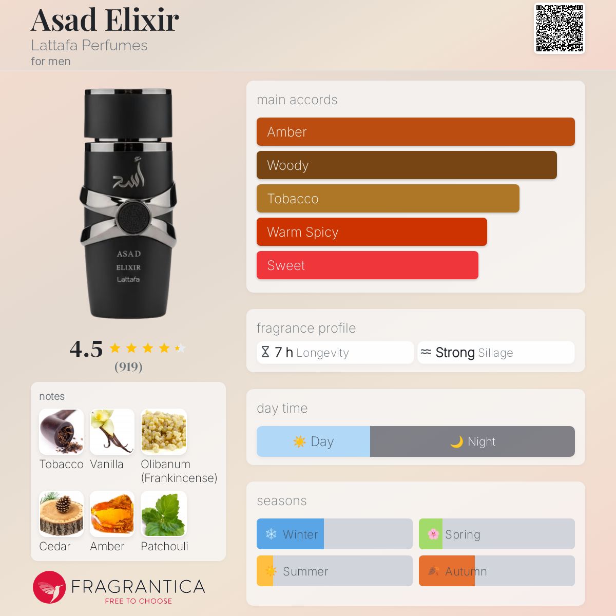 Asad Elixir perfume note breakdown